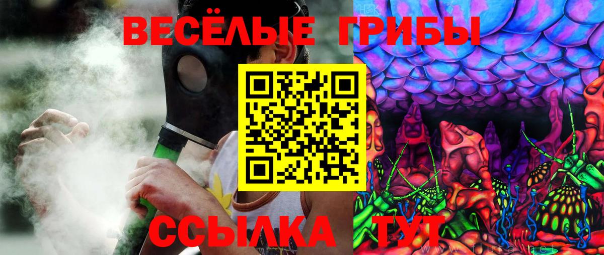 Кизилюрт  Псилоцибиновые грибы мицелий  Псилоцибиновые грибы мицелий  Вход с VPN 