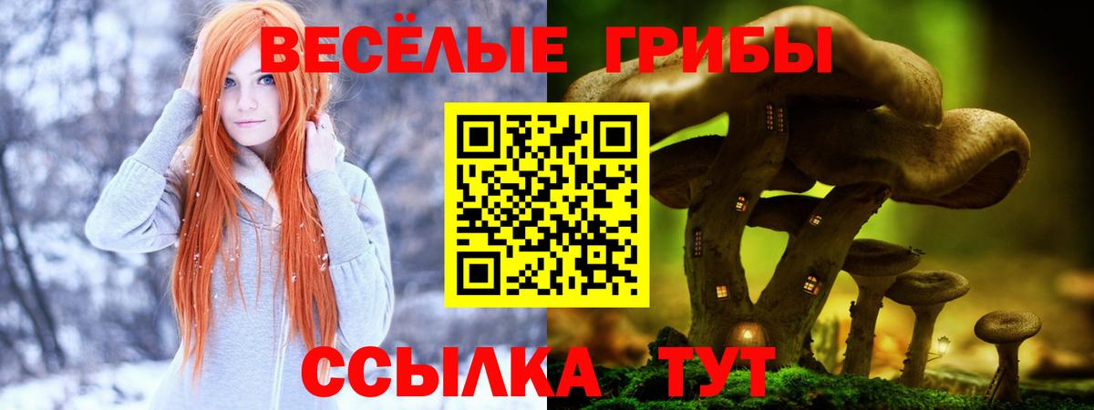 Псилоцибиновые грибы мицелий Кизилюрт